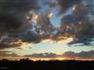 Sahuarita
