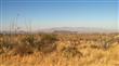 Sahuarita