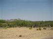 Sahuarita