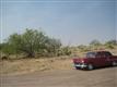Sahuarita