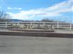 Sahuarita