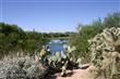 Tucson