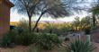 12824 N Cactus Terrace Place , Marana, AZ