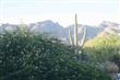 6400 N Burro Creek Place , Tucson, AZ