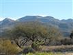 11629 E Limberlost , Tucson, AZ
