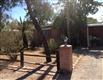 1917 N Cloverland Avenue , Tucson, AZ