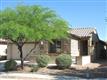 1254 W Versilia , Oro Valley, AZ