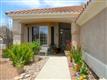 13044 N Burrobush Loop , Marana, AZ