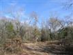 14280 Persimmon Creek Dr., Chandler, TX 75758