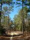 0  Cr 3438 , Jacksonville, TX