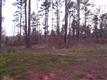 0000  Cr 436 , Lindale, TX