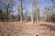 Tract 14  Cr 281 , Whitehouse, TX