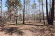 Tract 15 Cr 281, Whitehouse, TX 75791
