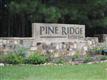 Lot 16  Haley Way , Flint, TX