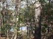 17739  Cr 431 , Lindale, TX