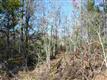 TBD 3814, Jacksonville, TX 75766