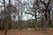 000  Jim Hogg , Lindale, TX