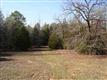 0000 Cabernet, Bullard, TX 75757