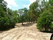 0006 Vzcr 3119, Edgewood, TX 75117