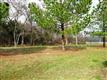 1205 CR SW 3230, Winnsboro, TX 75494
