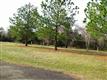 1205 CR SW 3230, Winnsboro, TX 75494