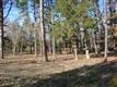 2860  Steward Way , Tyler, TX