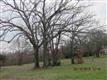 Lot 35 Spring Creek Road, Emory, TX 75440