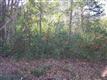 0 S Magnolia St, Palestine, TX 75801