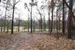1-145  Shady Pine Lane , Holly Lake Ranch, TX