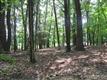 3875 Atwood Road, Stone Ridge, NY 12484