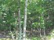 126 Rock Ledge Lane, West Hurley, NY 12491