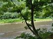 6381 Route 28, Phoenicia, NY 12464