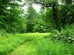 884 Samsonville Road, Kerhonkson, NY 12446