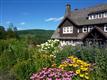 Tannersville