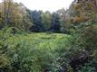 572 Acorn Hill Road, Olivebridge, NY 12461