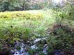 572 Acorn Hill Road, Olivebridge, NY 12461
