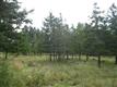 122  Forest Glen Rd. 