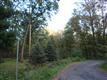 0 Atwood Road, Stone Ridge, NY 12484