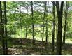 295 Plattekill Ardonia, Wallkill, NY 12589