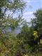 235  Minturn Street , Port Ewen, NY