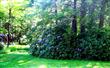 69 Winne Road, Mount Tremper, NY 12457
