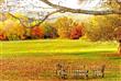 59 Leonardo Drive, Stone Ridge, NY 12484