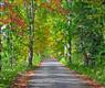 59 Leonardo Drive, Stone Ridge, NY 12484