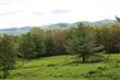 0 Old Farm Lane, Claryville, NY 12725