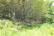 0 Old Farm Lane, Claryville, NY 12725