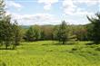 0 Old Farm Lane, Claryville, NY 12725