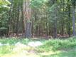 355 Awosting, Pine Bush, NY 12566
