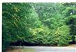 TBD Lee Woods Drive, Stone Ridge, NY 12484