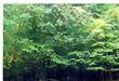 TBD Lee Woods Drive, Stone Ridge, NY 12484