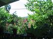 75/77 Upper Boiceville  Road, Boiceville, NY 12412